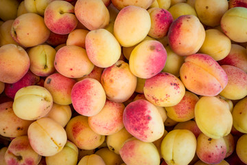 A group of ripe peaches