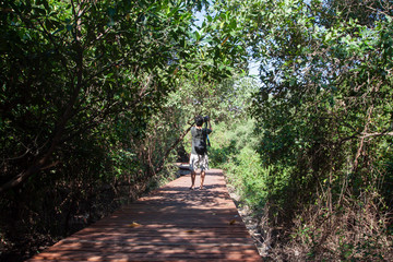 Obraz premium Tourists are stand taking pictures of nature in the forest on the wooden sidewalk.