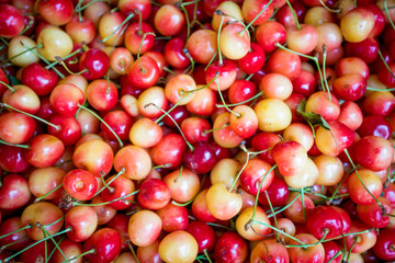 red cherry background. Red ripe delicious cherries
