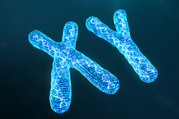 XY digital, artificial chromosomes with DNA carrying the genetic code. Genetics concept, artificial intelligence concept. Binary code in the human genome. Future, genetic mutations. 3D illustration