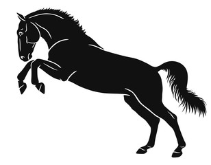 Graphic representation of a horse standing on hind legs.