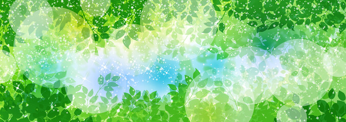 緑の植物と木漏れ日