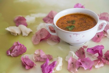 bowl of soup on colored background with dried flower