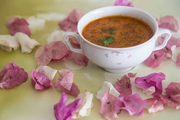 bowl of soup on colored background with dried flower