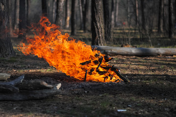 fire in the fireplace