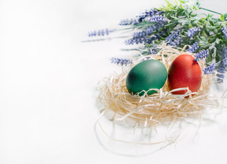 Colorful easter egg in the nest on white background with space