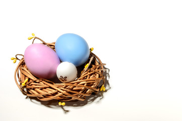 Colorful easter egg in the nest on white background with space
