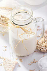 Protein source oat milk homemade product