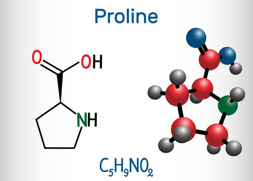 Pro Line M3 Compound รูปภาพProline – เลือกดูภาพถ่ายสต็อก เวกเตอร์ และวิดีโอ6,379 | Adobe Stock