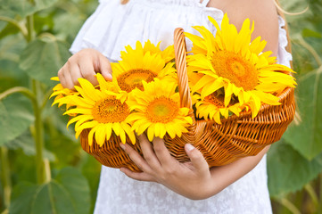 Young girl in sunflowers field on sunset.
