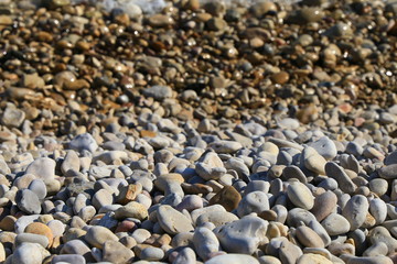 Piedras húmedas variadas en la playa