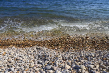 Piedras húmedas variadas en la playa