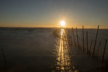Obraz premium Calm in the valencia lagoon at sunset