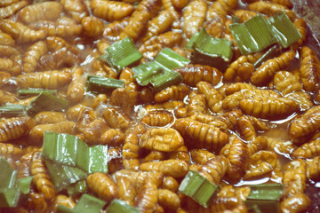 Fried insects, Bugs fried on Street food in Thailand