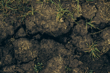 deep crack in dry ground