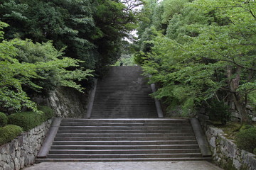 Obraz premium 京都奈良