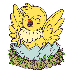 Chicken hatches from the egg.