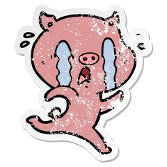 distressed sticker of a crying pig cartoon