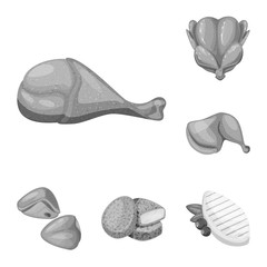 Isolated object of cuisine and bird  sign. Collection of cuisine and poultry stock vector illustration.