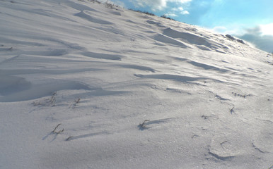 footprints in snow