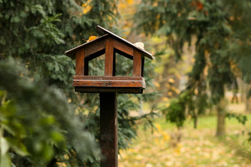 Green natural bird house