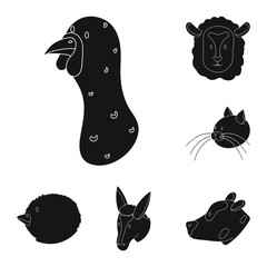 Isolated object of ranch  and organic  logo. Set of ranch  and head stock symbol for web.