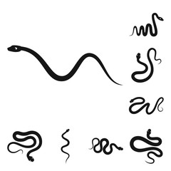 Isolated object of nature and medicine logo. Set of nature and evil vector icon for stock.