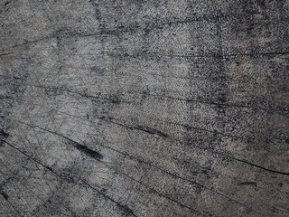 Wood background texture.