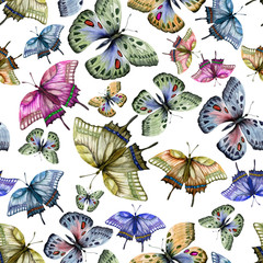 Beautiful colorful tropical butterflies on white background. Seamless pattern. Watercolor painting. Hand drawn and painted illustration.