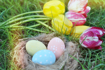 painted Easter eggs in a nest on green grass and a bouquet of tulips, an Easter card, a festive concept