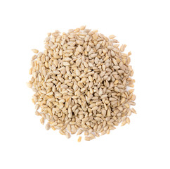 sunflower seeds isolated on white background