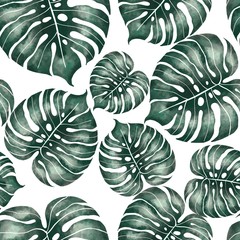 Tropical leaves, jungle monstera leaf seamless pattern. Floral background. Watercolor style 2 © Gribanessa
