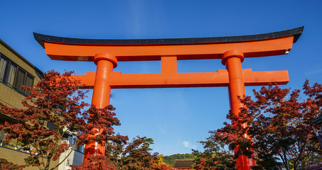 Tori gate with autumn maple leaf