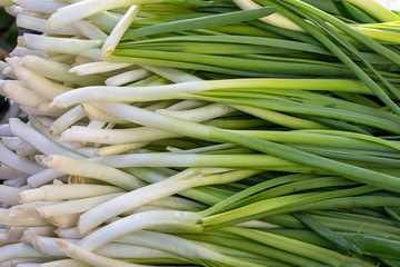 a lot of green onions