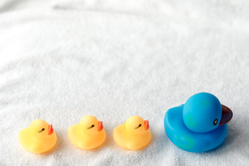 Row of yellow and blue ducks on white background. baby Flat lay. Leadership and following concept