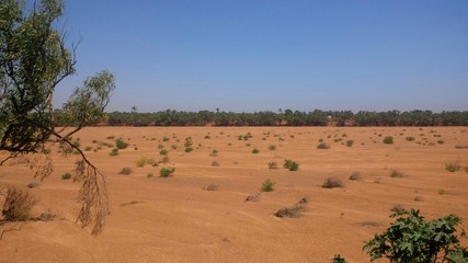 Fototapeta na wymiar North Plantations, Carnarvon, Australia