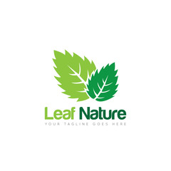 line leaf logo and icon Vector illustration design Template