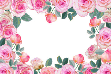 Pink rose frame vector illustration
