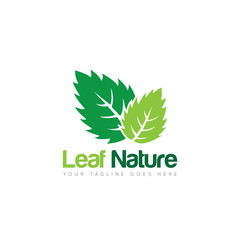line leaf logo and icon Vector illustration design Template