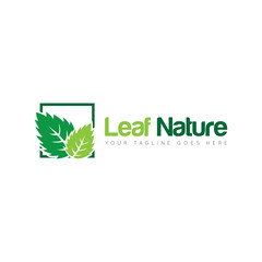 line leaf logo and icon Vector illustration design Template