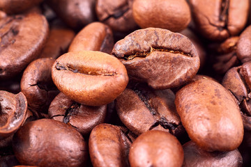 roasted coffee grains. Macro shot