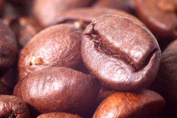 coffee roasted grains macro shot