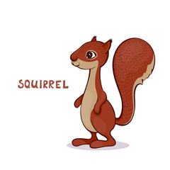 Vector illustration, a cartoon cute squirrel, isolated on a white background