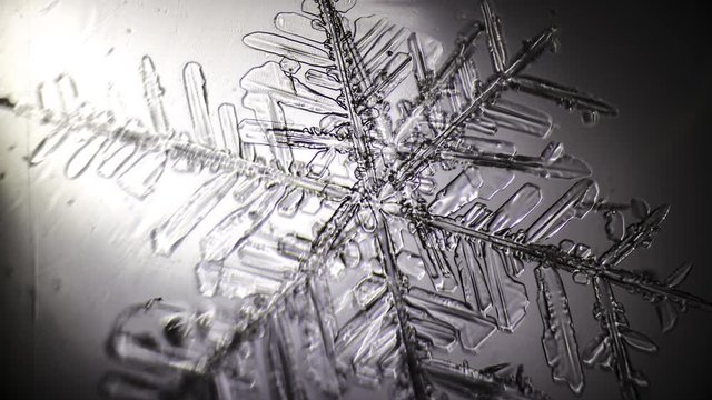 transparent snowflake grows in a spot of light under a microscope