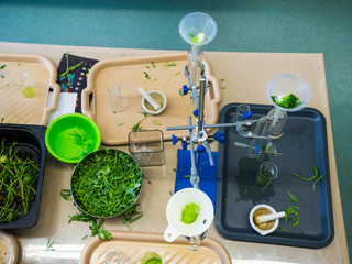 green leafs in modern smart lab on work place in the room, greenery flavoring and dye