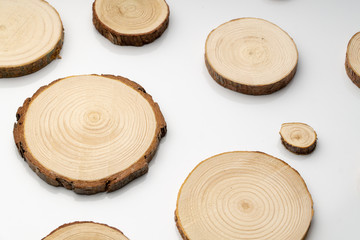 Pine tree cross-sections with annual rings on plane white surface. Lumber piece close-up shot.