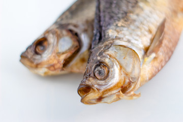 Dried fish, roech insulated on white background