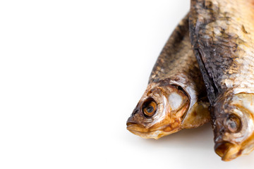 Dried fish, roech insulated on white background