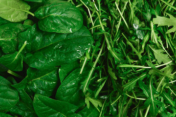 Fresh leaves of arugula and spinach as background.
