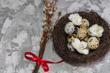 quail eggs in the nest and willow branch